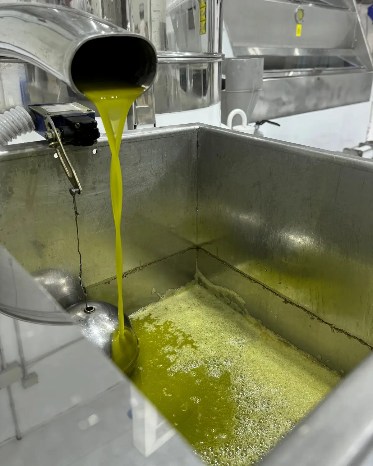 Aceite de oliva virgen extra de Gran Almazara