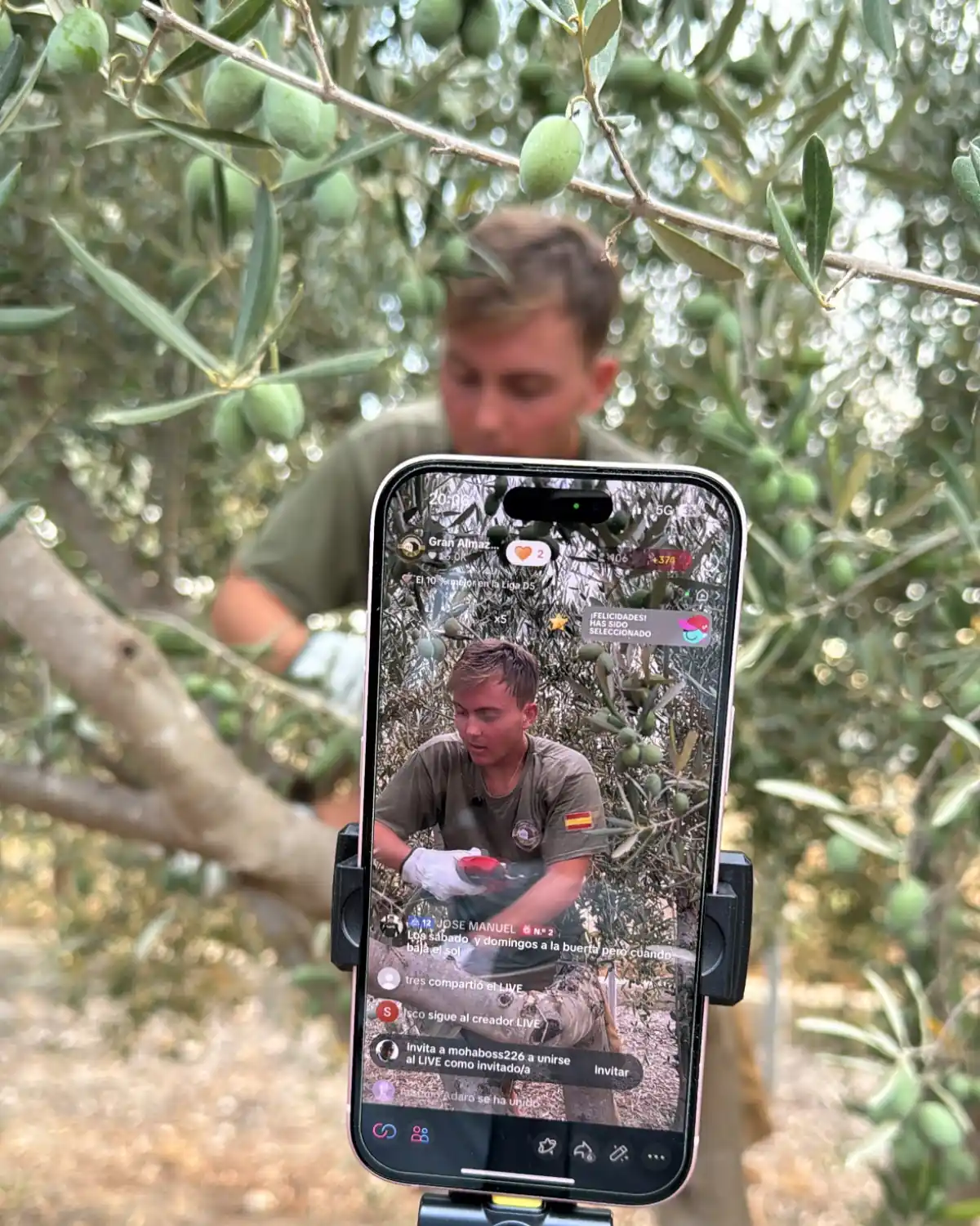 Grabando un vídeo explicando el proceso del aceite en el olivar