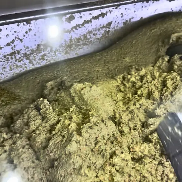 Molturación de la pasta de aceituna en Gran Almazara