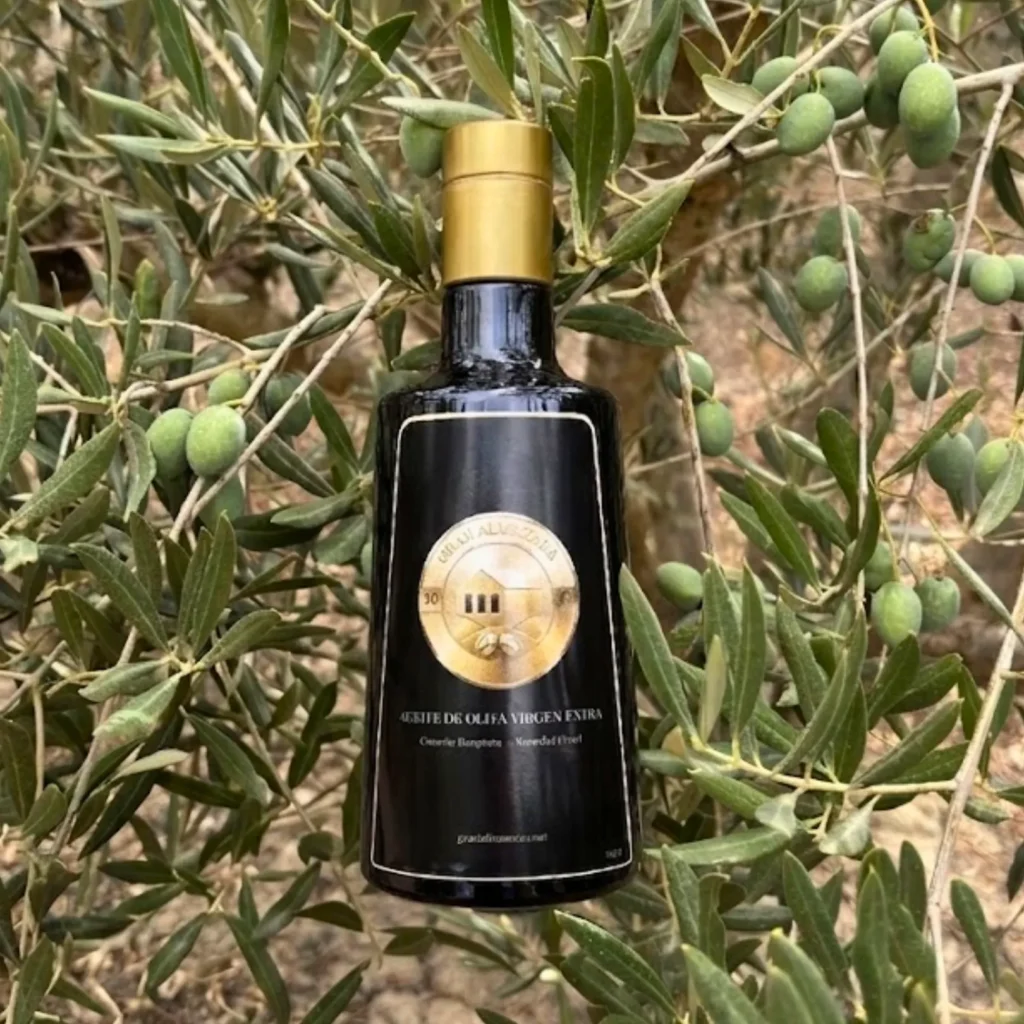 Botella de aceite Picual de 500 ml apoyada sobre un olivo